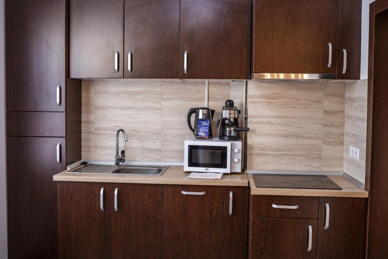 Apartament Family Rivulus 10 Baia Mare Extérieur photo