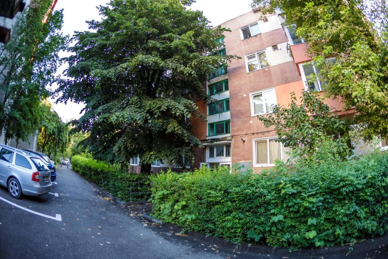 Apartament Family Rivulus 10 Baia Mare Extérieur photo